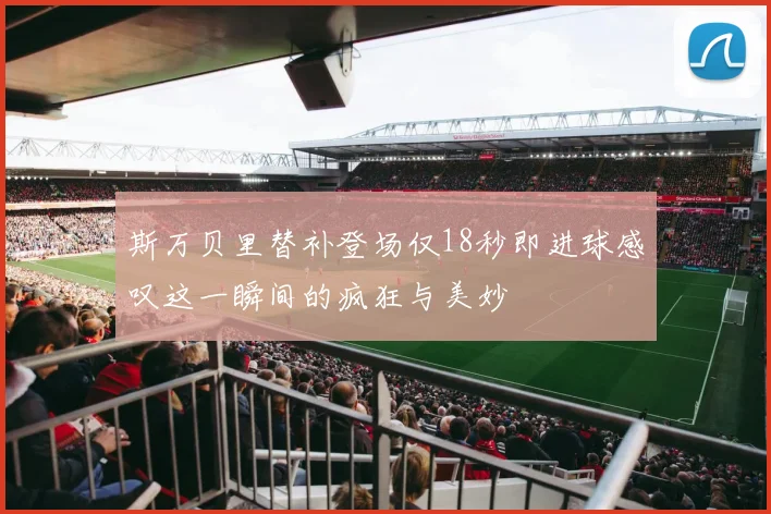 斯万贝里替补登场仅18秒即进球感叹这一瞬间的疯狂与美妙